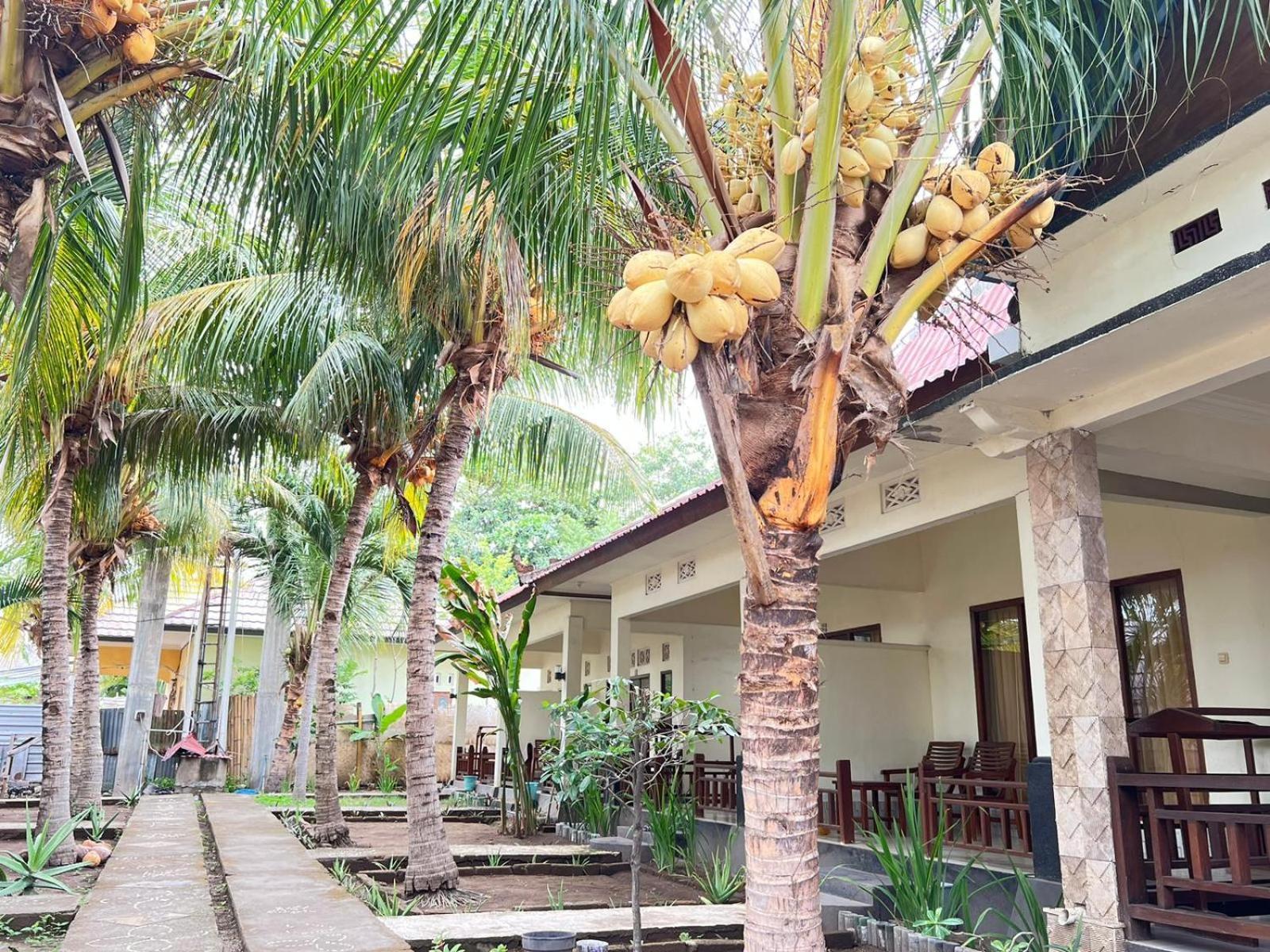 Bias Bungalows Gili Air Exterior foto